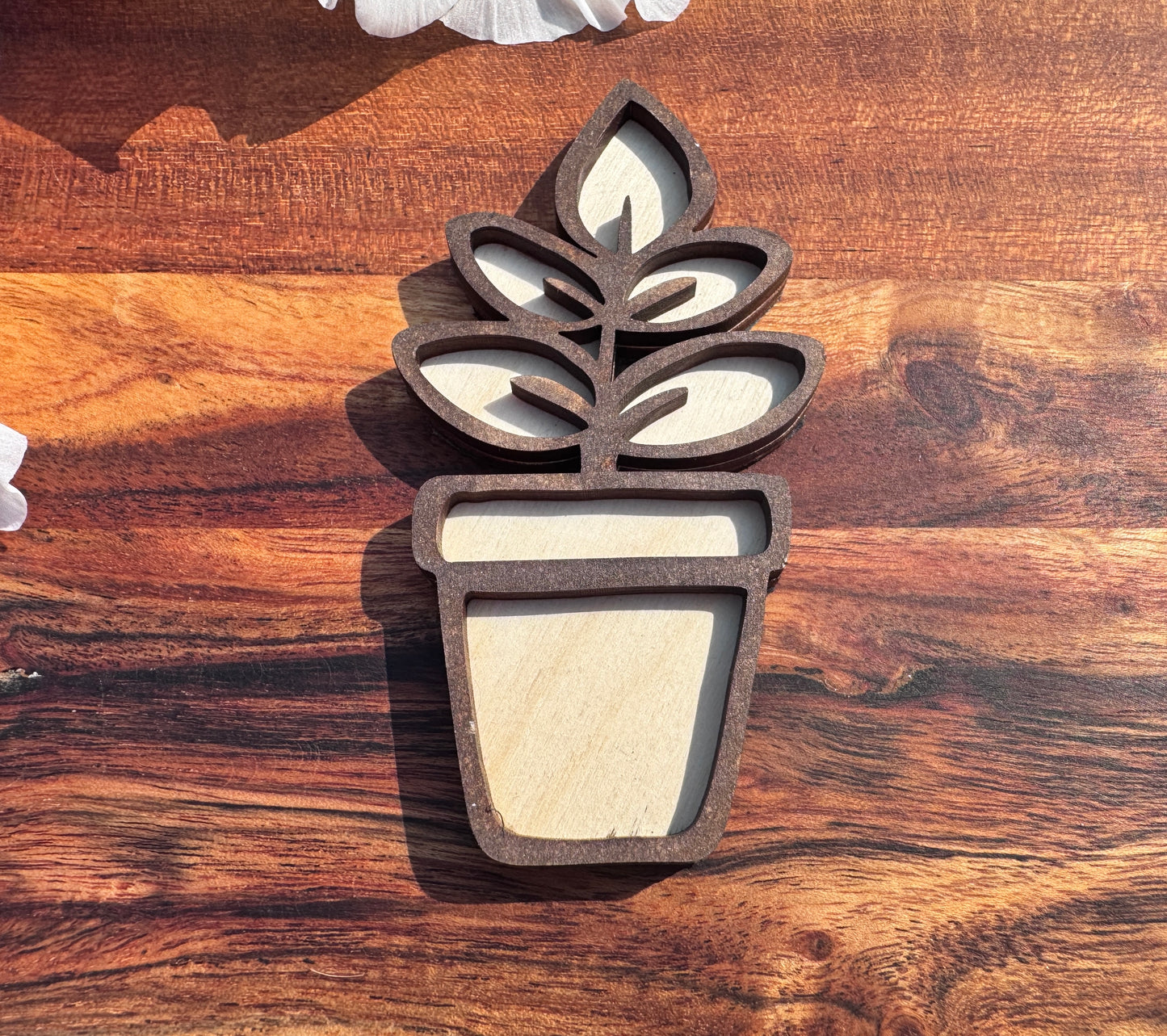 Wooden Plant Magnets – 3 Unique Styles
