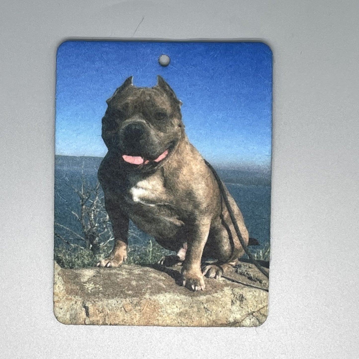 Custom Photo Air Freshener – Personalized Felt Car Freshie (3x4 inch)