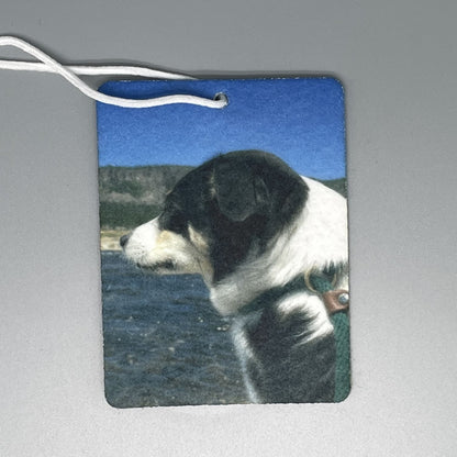 Custom Photo Air Freshener – Personalized Felt Car Freshie (3x4 inch)