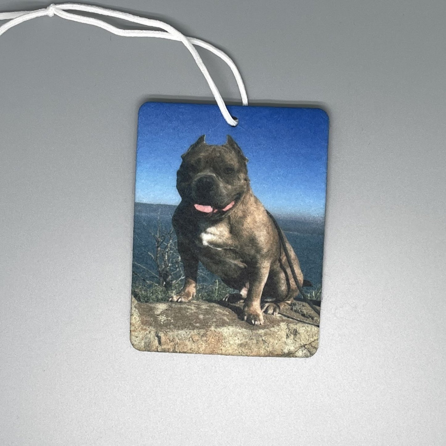 Custom Photo Air Freshener – Personalized Felt Car Freshie (3x4 inch)