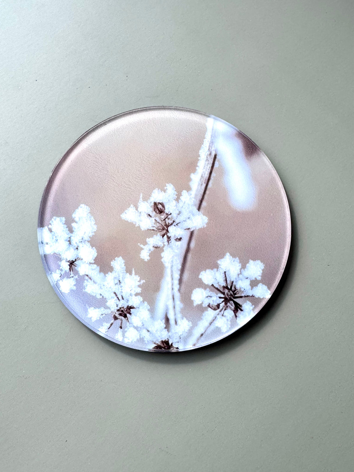 Winter Acrylic Coaster Set of 4, Frosted Pine & Berry Coasters with Cork Back, Custom Photo Coasters, Christmas Hostess Gift