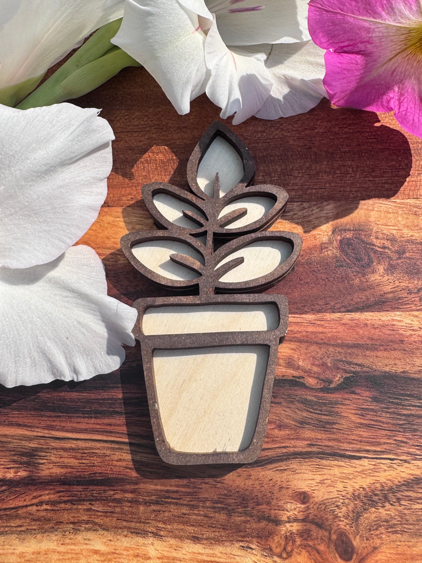 Wooden Plant Magnets – 3 Unique Styles