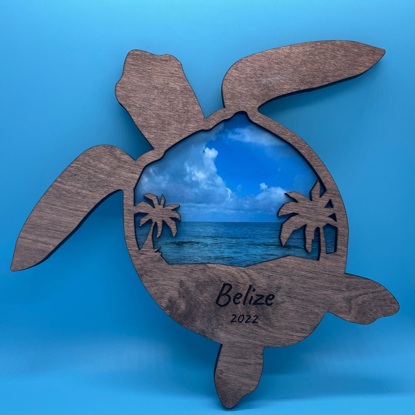 Custom Turtle Wood Art: Personalized Photo & Saying, Home Decor